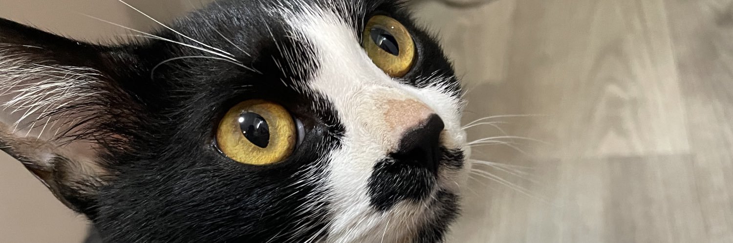 tof_z's profile banner image
