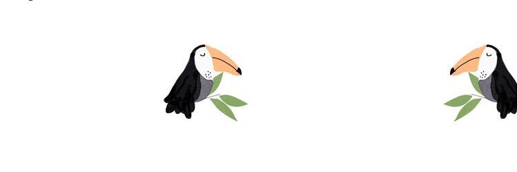 fernandareh's profile banner image
