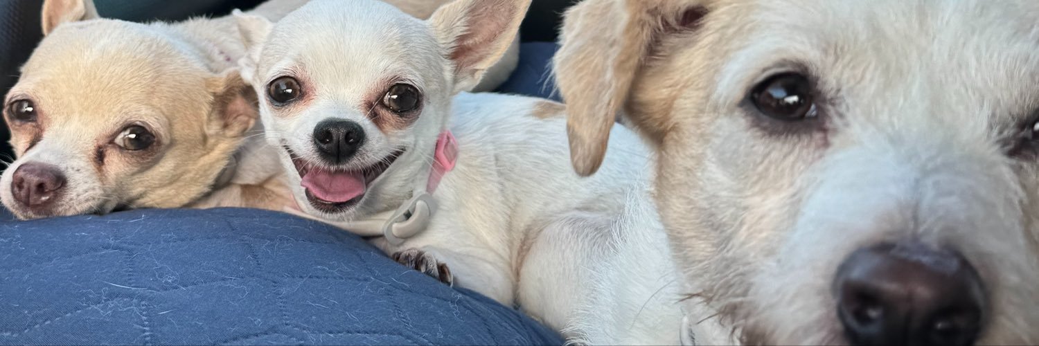 sam_carius's profile banner image