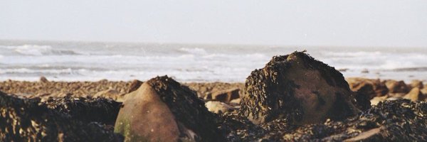 AndrewDatson Profile Banner