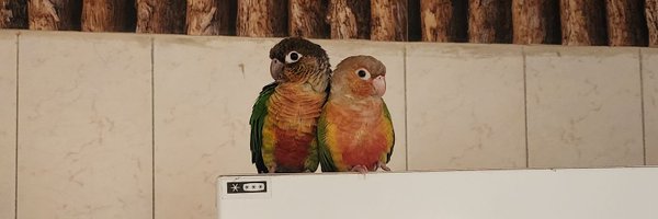 mahtab7554 Profile Banner