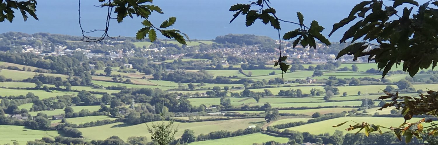 Sam banner