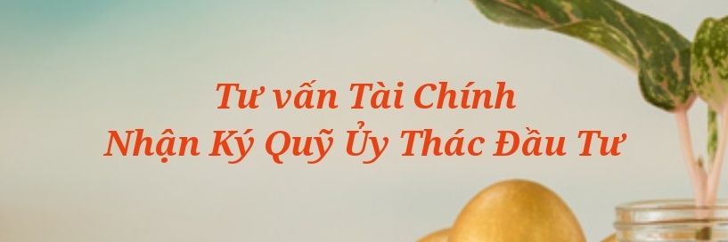 RobertThaiVP's profile banner image