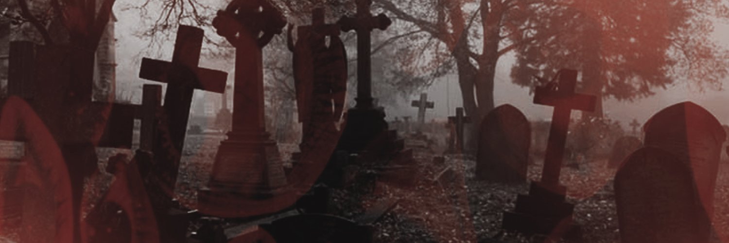 vtclfbr's profile banner image