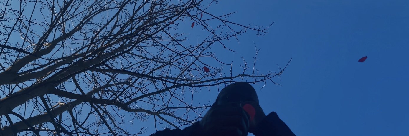 BenRidleyTM's profile banner image