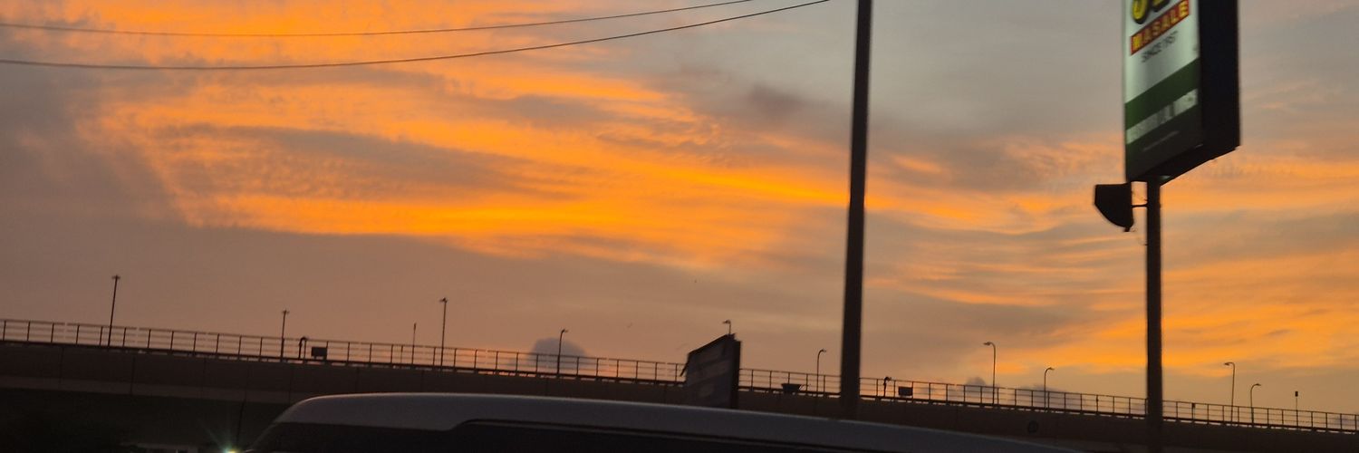 tara_01X's profile banner image