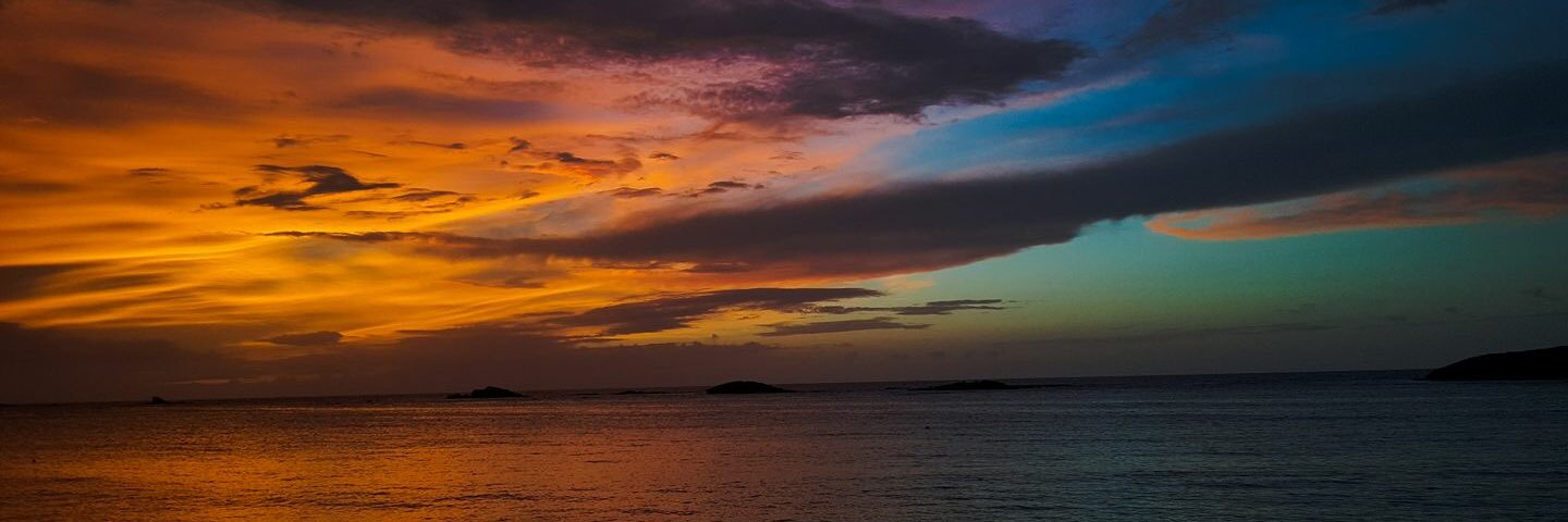 chayala19's profile banner image