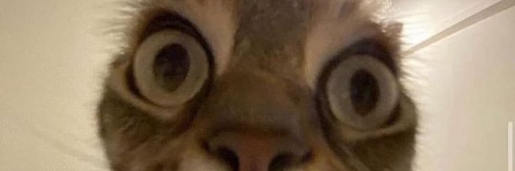 t_ashaaaa's profile banner image