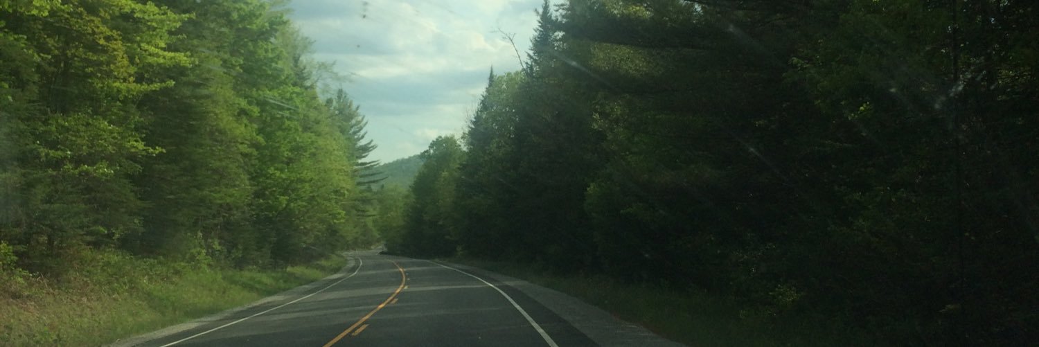 ohkaytee's profile banner image