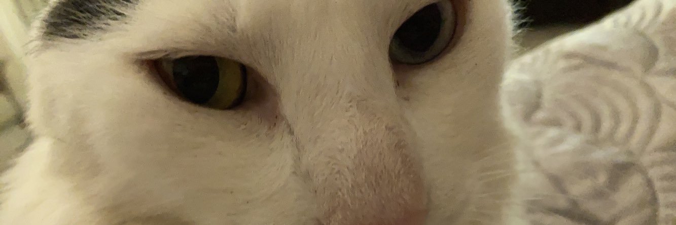 SamiLowther's profile banner image