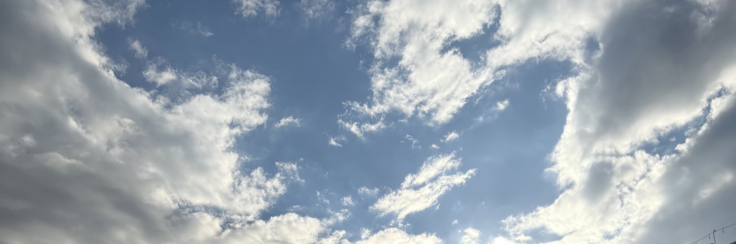 palepurplerose's profile banner image
