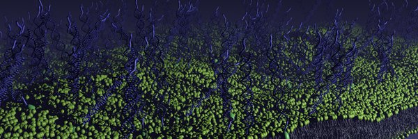 DiMicheleLAB1 Profile Banner