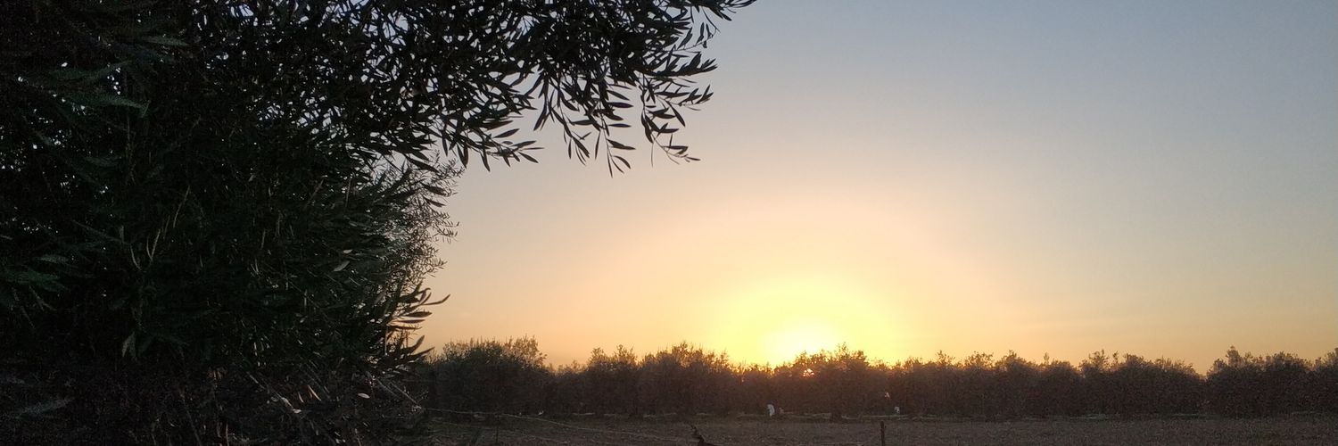 Patched Saev 2.0™ 🏴󠁧󠁢󠁳󠁣󠁴󠁿🇪🇦 banner