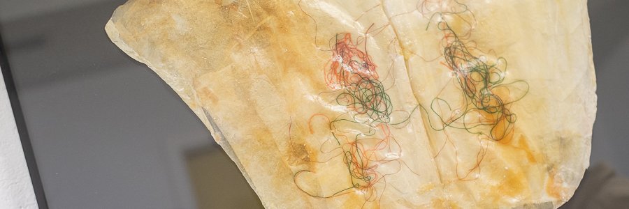 Ainara Lasa Perez 🇵🇸 banner