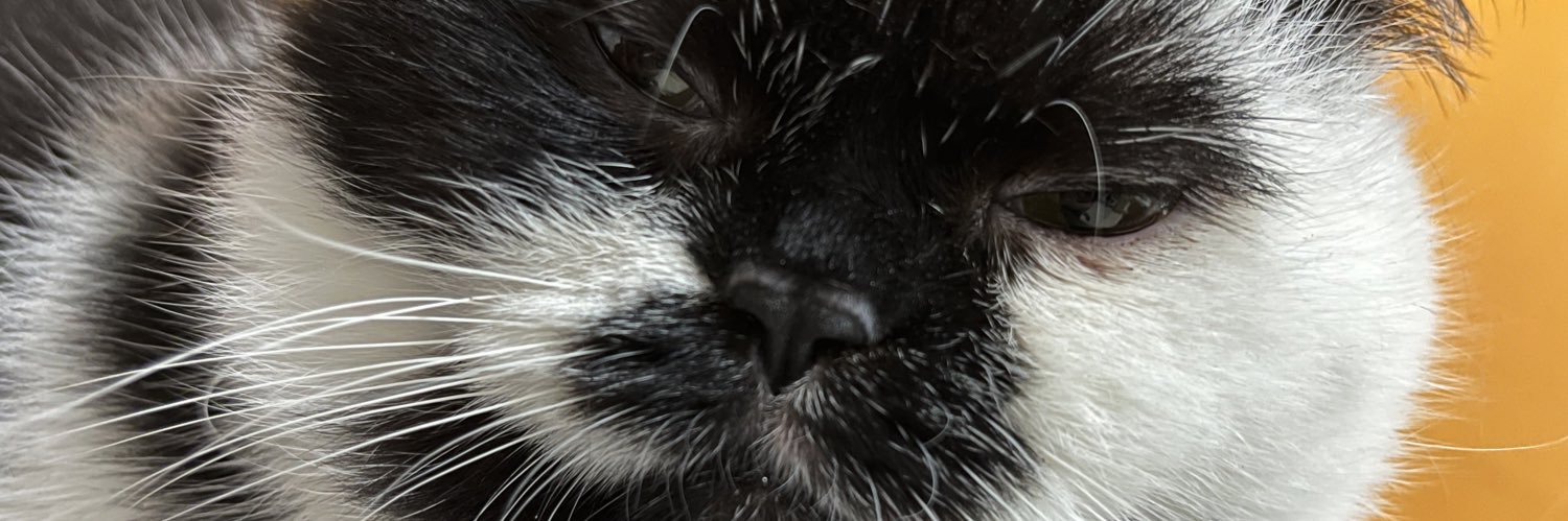 mmmapb's profile banner image