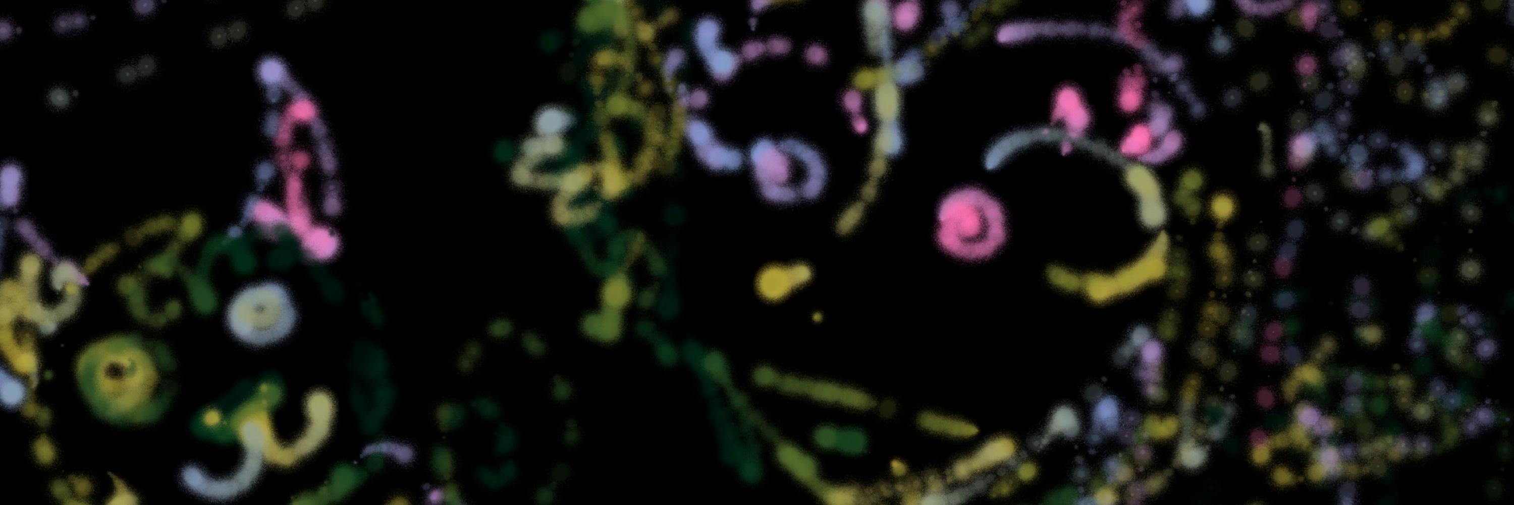 Orphime's profile banner image