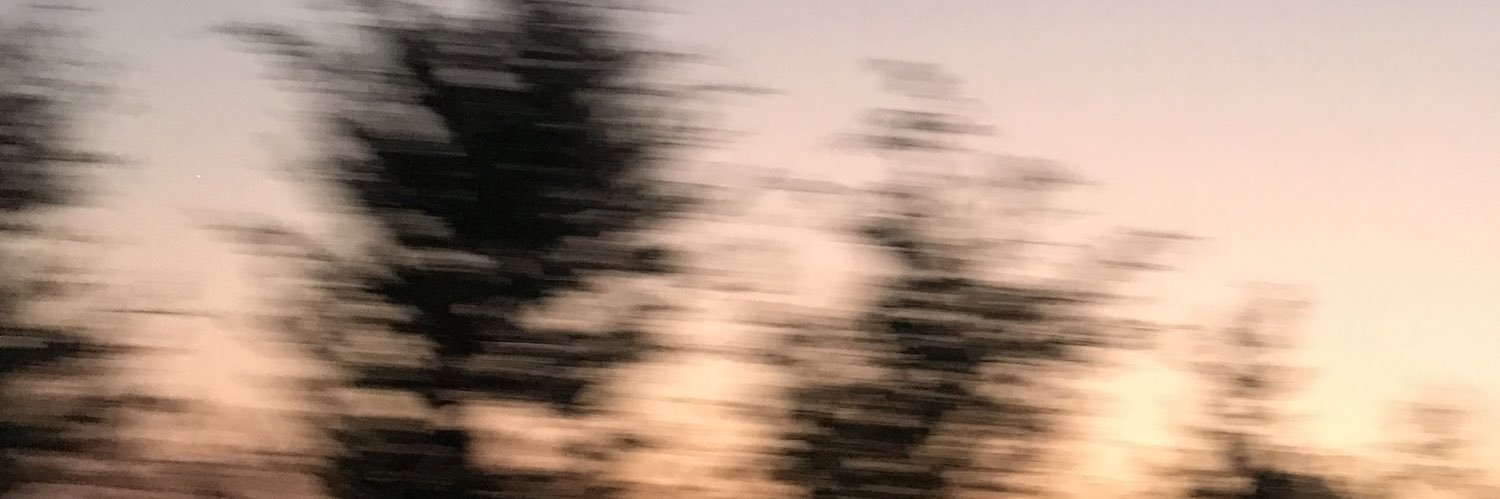Sema__Genc's profile banner image