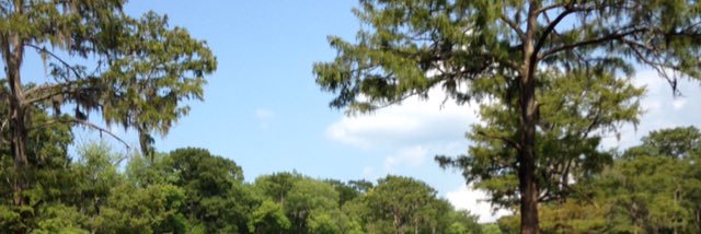 Logan Fife banner