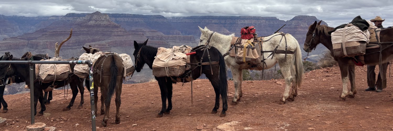 🇨🇦CanadianMom🇨🇦 banner