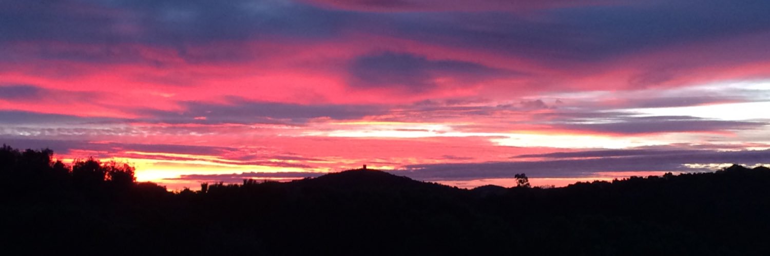 xavifurne's profile banner image