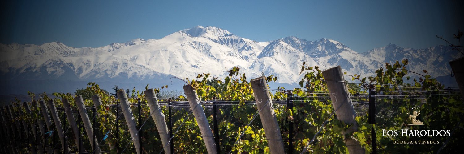 Bodegas Los Haroldos banner