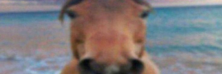 ladymikis's profile banner image