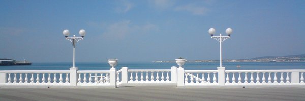 Pionia5 Profile Banner