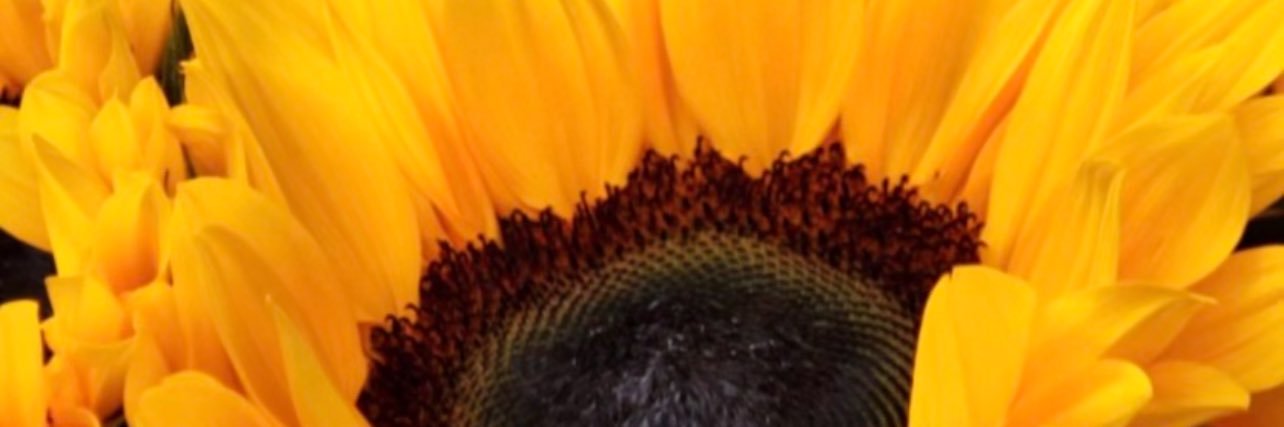 CallMehMichi's profile banner image
