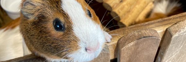 ryan27cloud Profile Banner