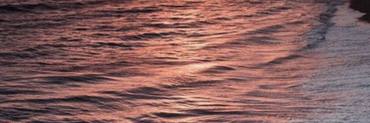 haalm66m's profile banner image