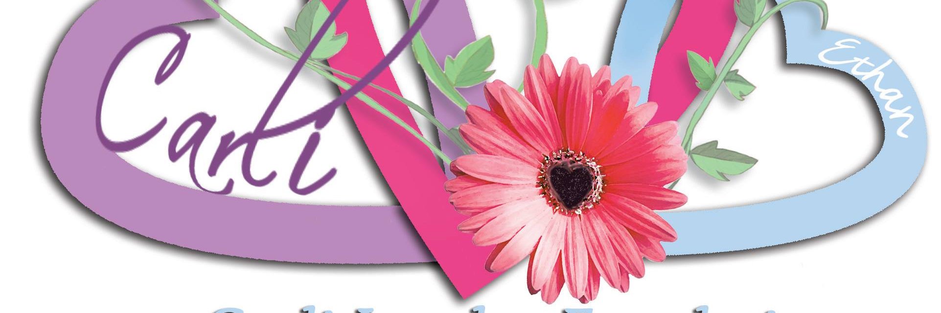 Carli Lansley Foundation banner