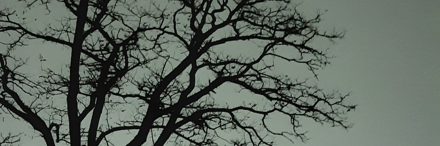 iawaad's profile banner image