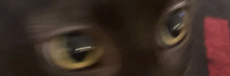 rafaelsoler07's profile banner image