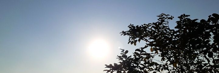 Nascto81's profile banner image