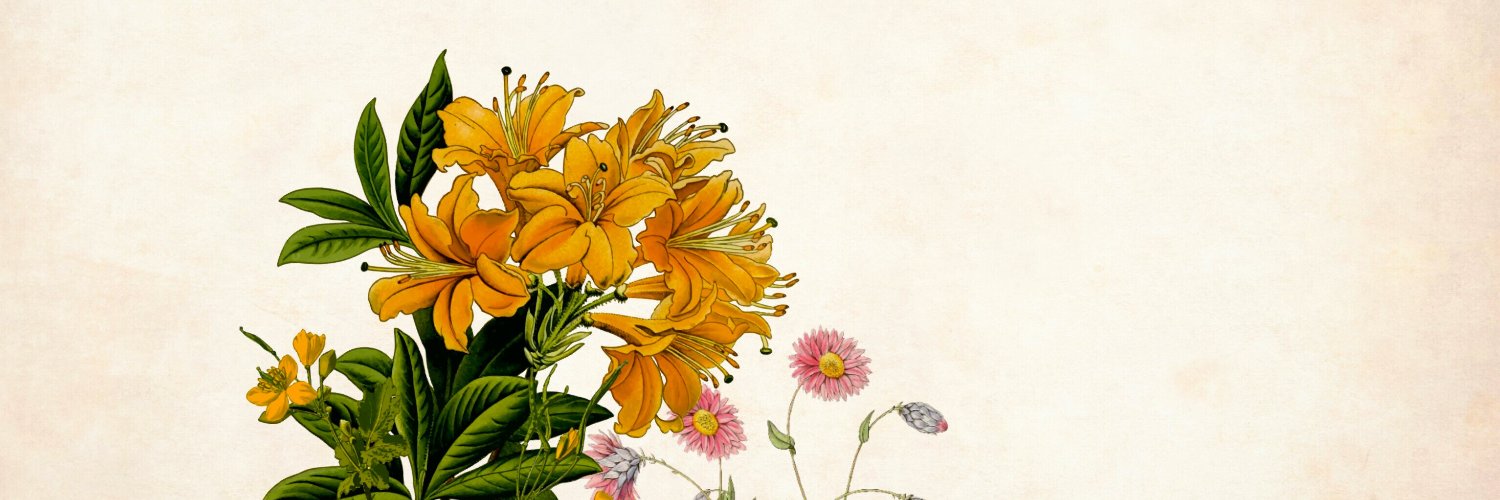 jsprdpw's profile banner image