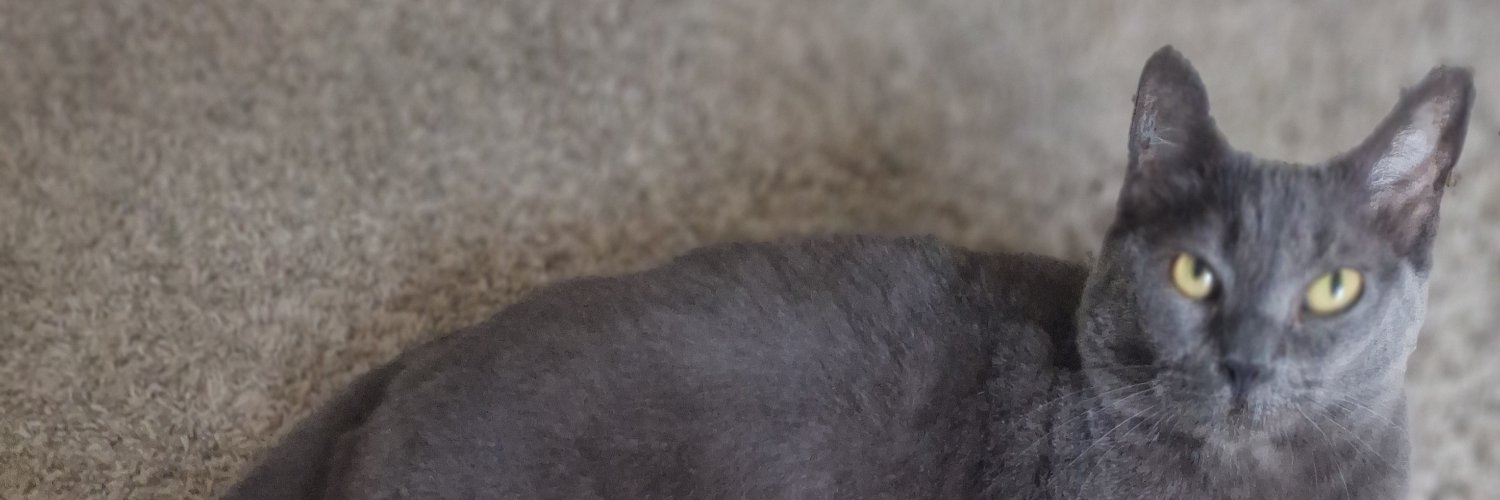 KarlaMichelle63's profile banner image