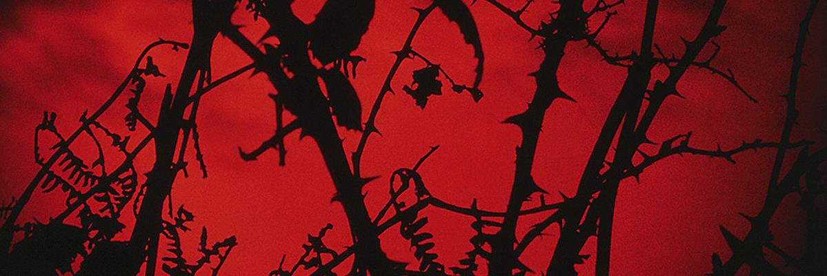 Horror Writers Assoc banner