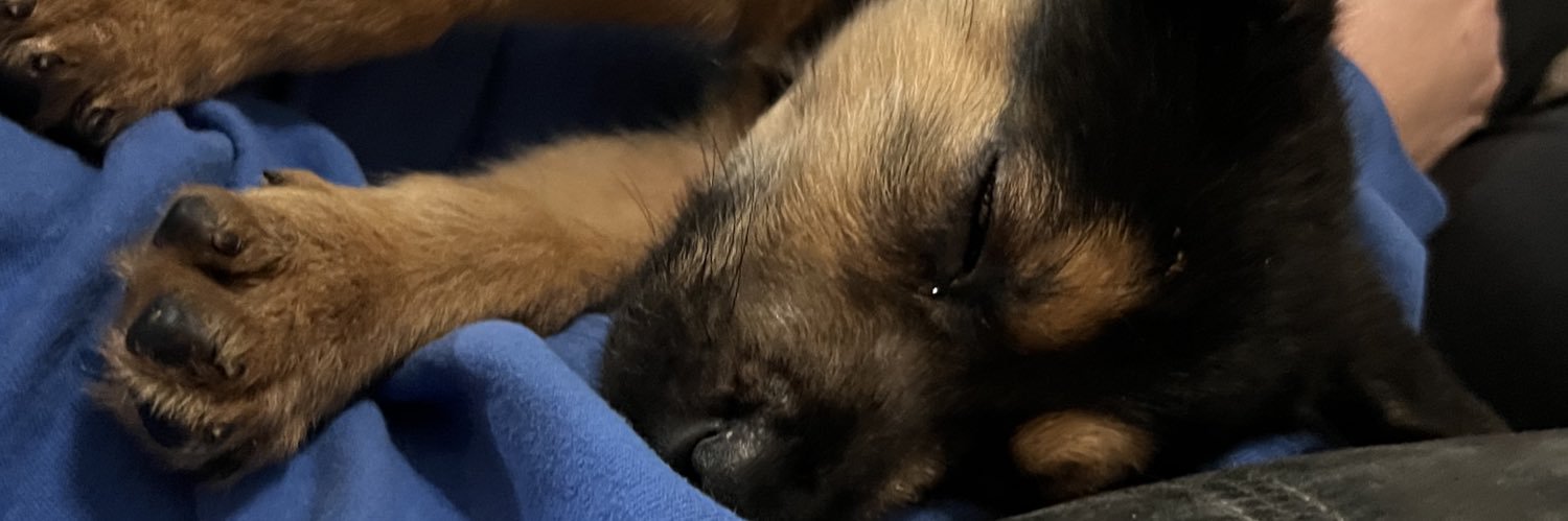 nick verrilli banner