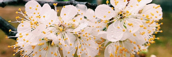 marpe98 Profile Banner