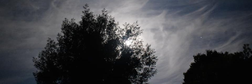 CARLITIOX's profile banner image