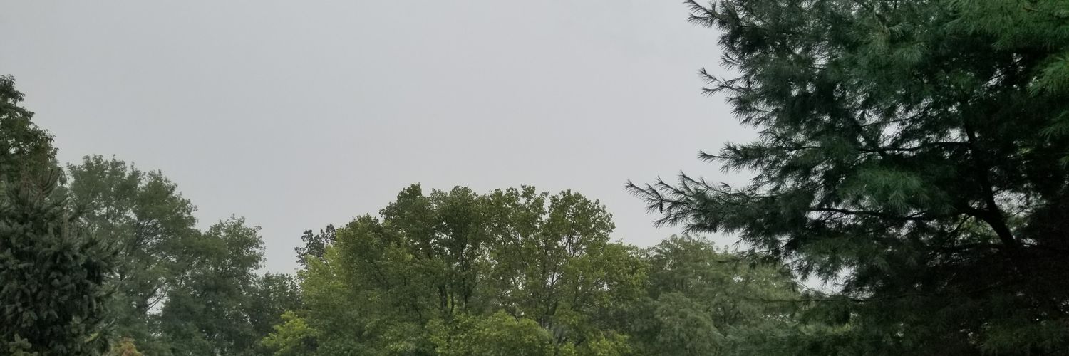 Martin Dubuque banner