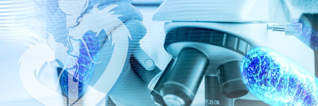 Dragon BioMed USFQ banner