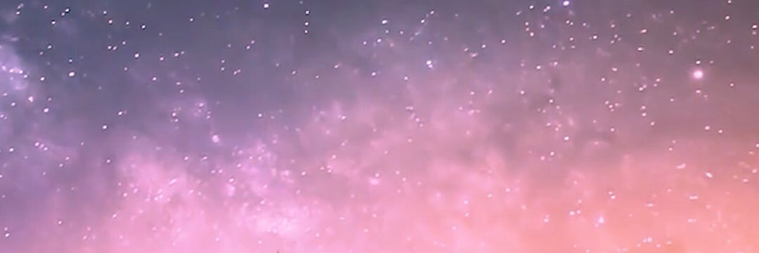 stefenia's profile banner image
