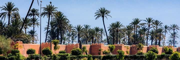 samawi44's profile banner image