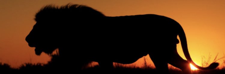 JaMari Whitehead🛸 banner