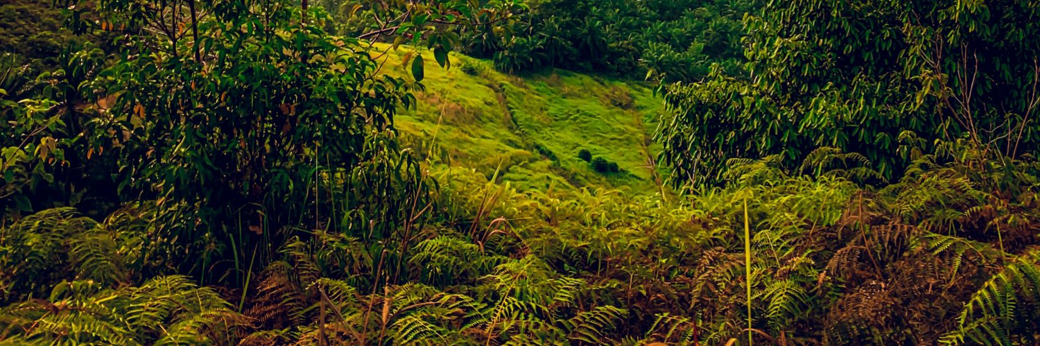 amir__faiz's profile banner image