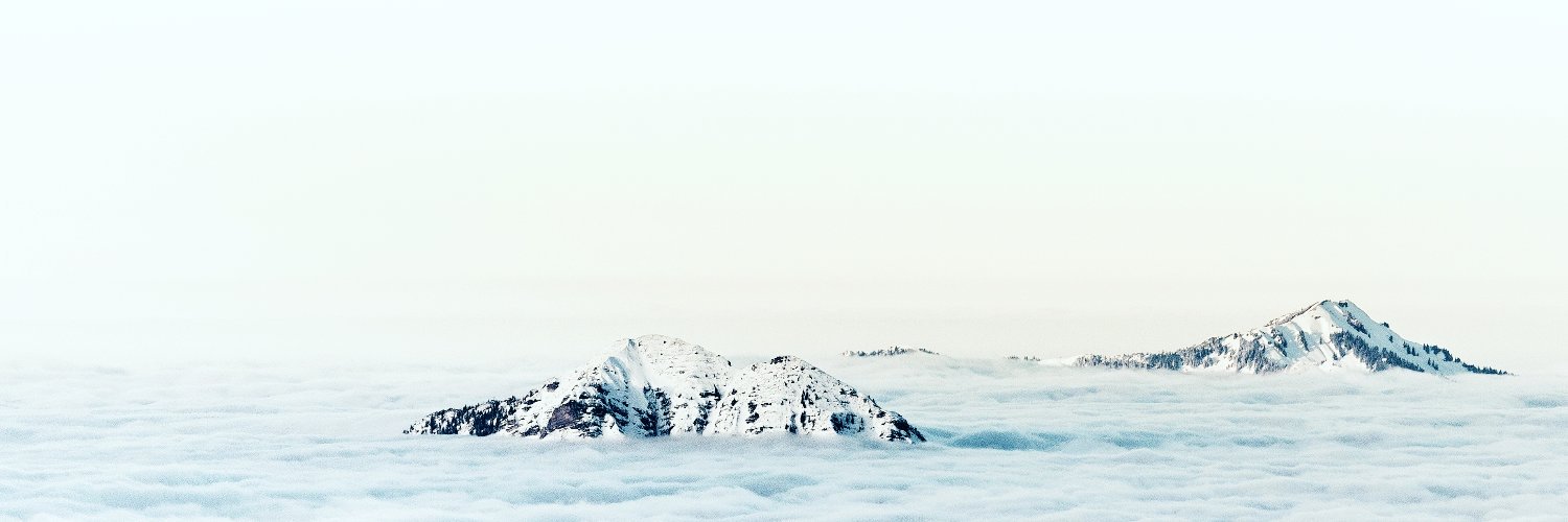 tomerkinger's profile banner image