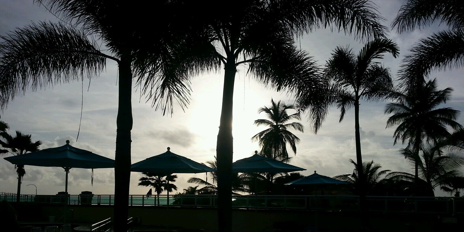 michellem_pr's profile banner image