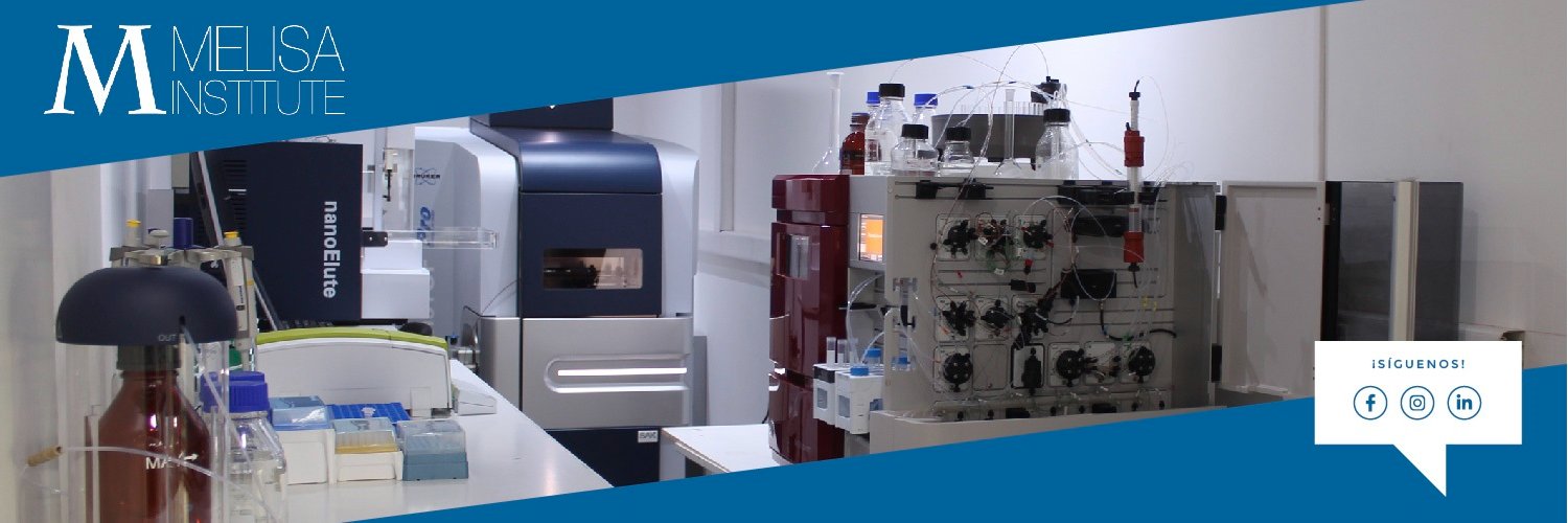 MELISA Institute banner