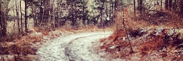 Sir Dude Named Daniel banner